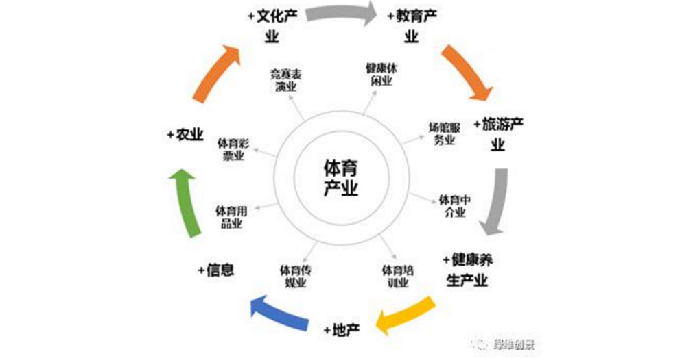 体育收藏